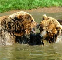Evelyn Thompson
